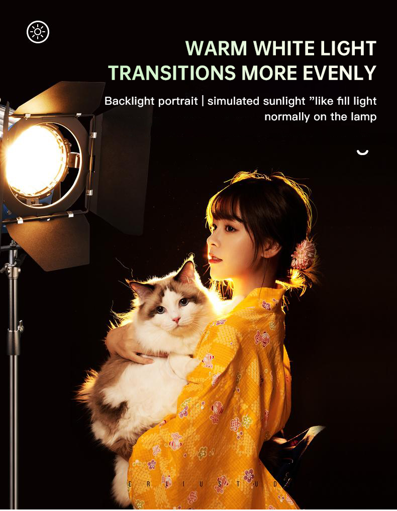 Beiyang 2000W Spotlight Hair L - Photography Lighting For Portraits 评论和价格