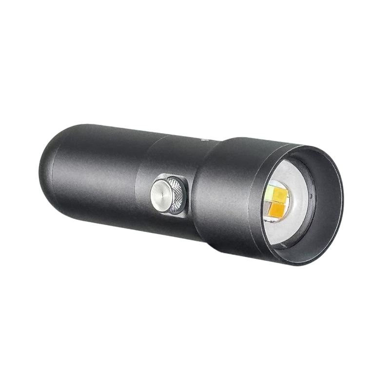 SL15 10W Battery-Powered Mini  - Portrait Photography With Lighting 评论和价格